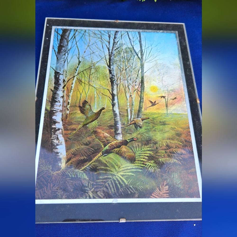 Vintage German Foil Print of Forest Scene with Pheasants in Flight - Picture 3 of 3